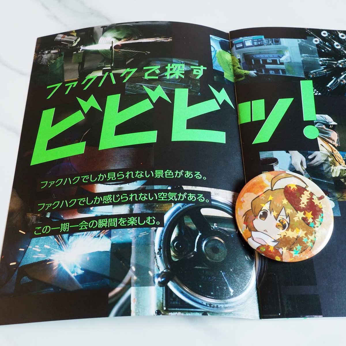 ファクハクのガイドブック