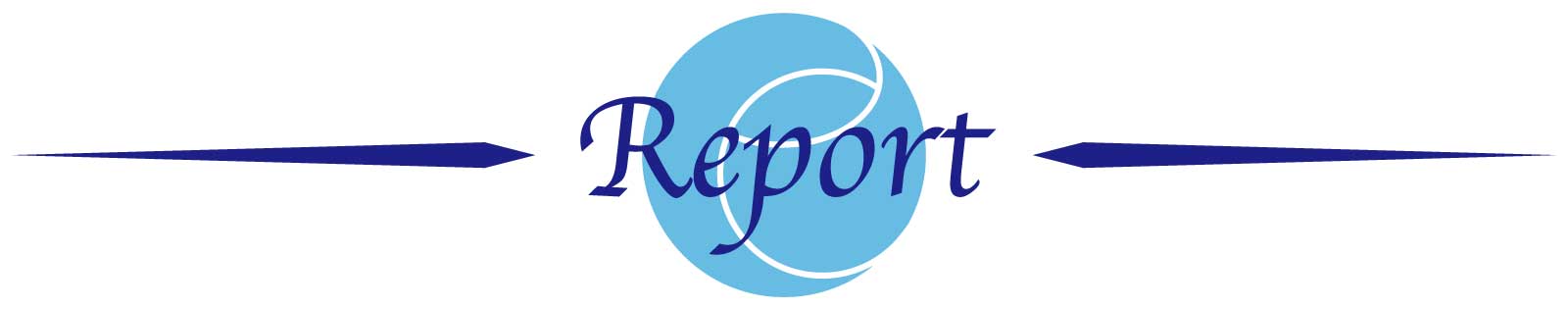 Report