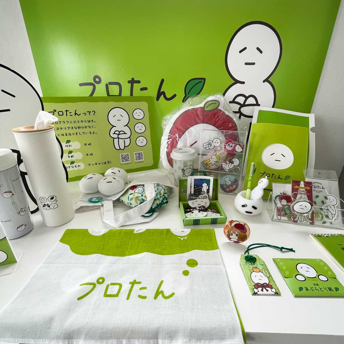 プログラフ株式会社紹介