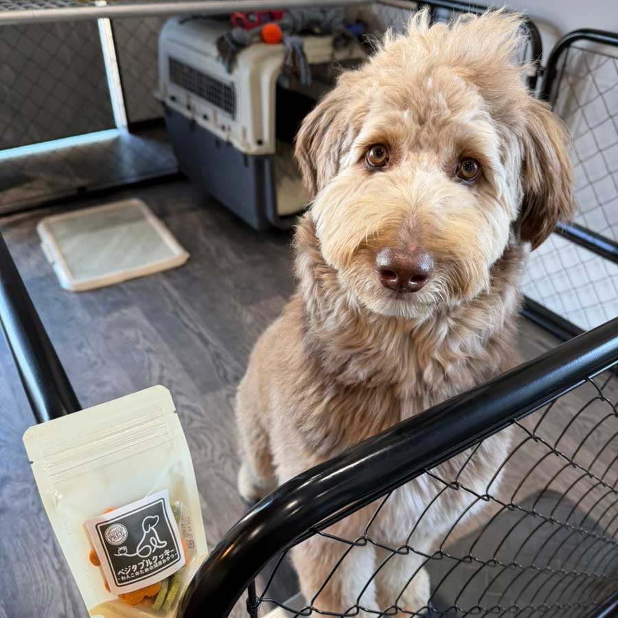 縁と輪イメージ